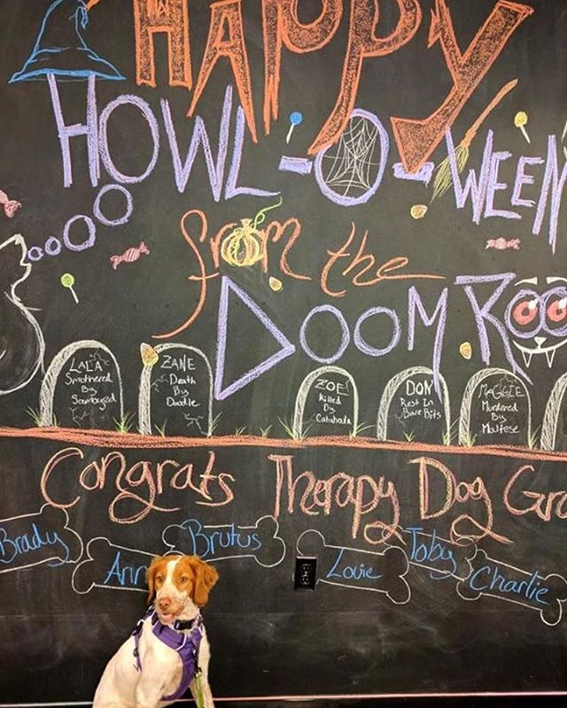 Moose wishes everyone a Happy Howl-o-ween from the DOOM ROOM! Come by to check out our spooky Halloween decorations! 
#halloween #spooky #br