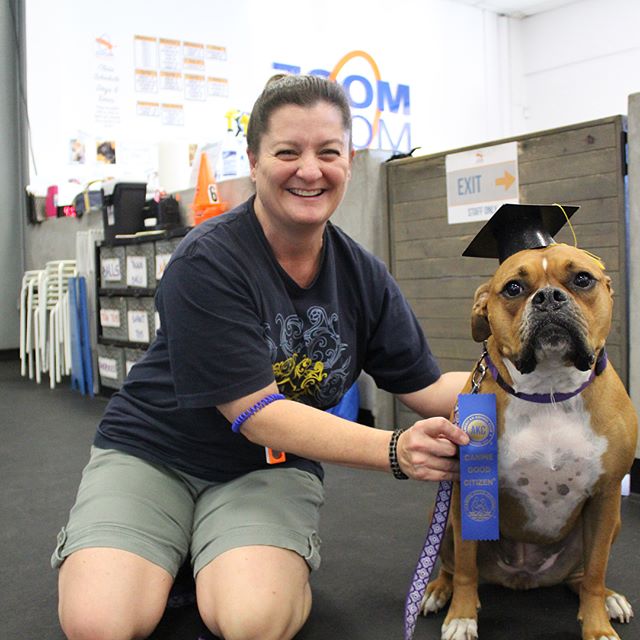 Congrats to our recent CGC's (Canine Good Citizen), Marlee & Lily!! We are so proud of the hard work these pups have done with their humans!