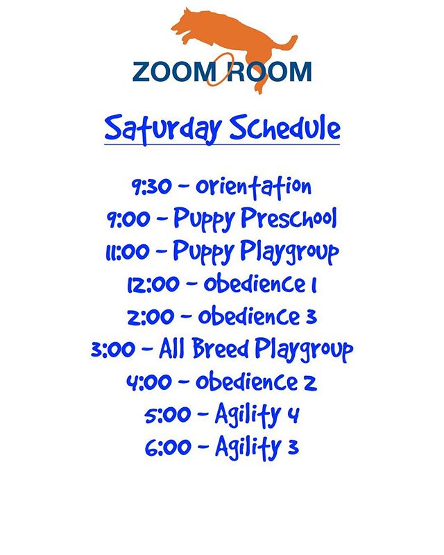 Today's schedule!  Sign up now!  #zoomroomvirginiabeach #dogsofvirginiabeach