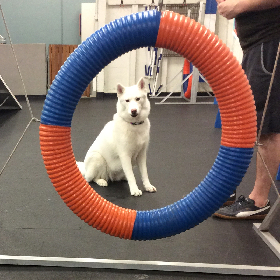 Sometimes the tire is intimidating!