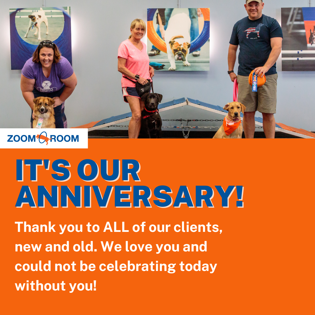 1 Year Anniversary Party