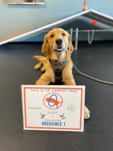 Tucker is dog of the month